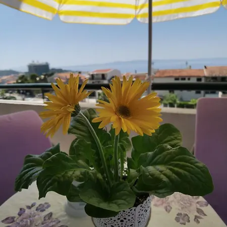Jadranka Makarska